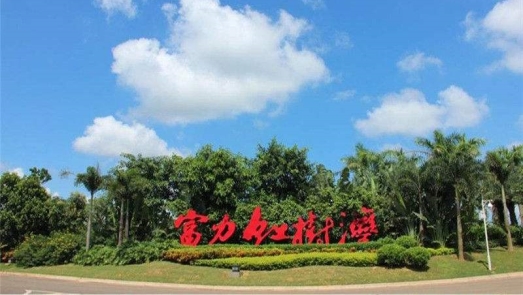 因涉嫌破坏红树林 海南暂停富力红树湾商品房销售